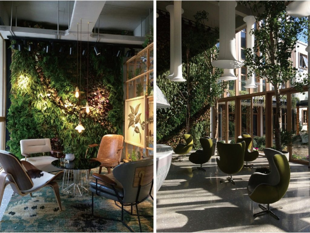 ．杭州留香園 樣品屋整體植栽規劃