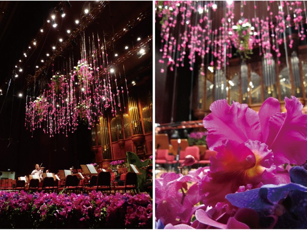 ．柏林愛樂 國家音樂廳 花藝設計