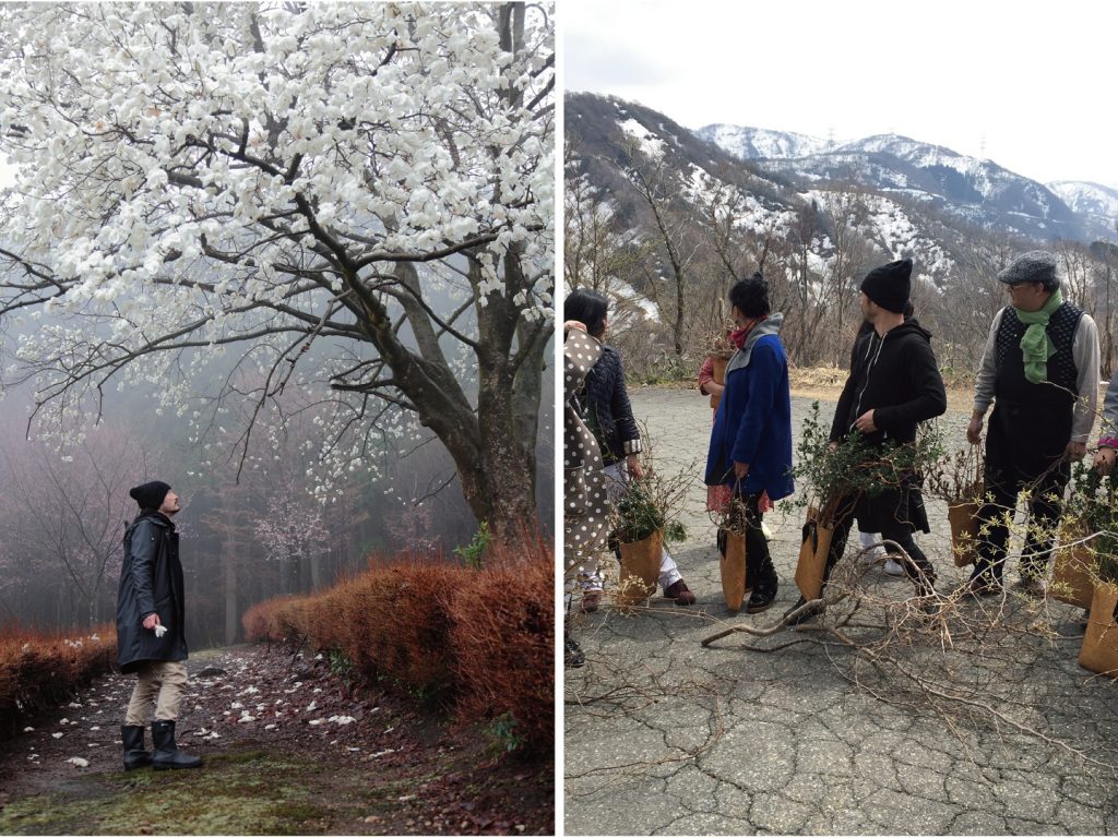 ．跟著花開去旅行 日本金澤