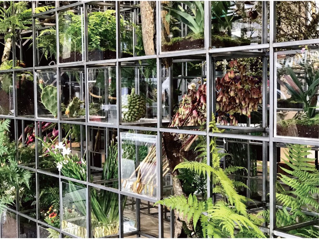 .SAMSUNG VISION LAB 野花店